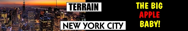 terrain_nyc.jpg