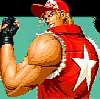 Terry Bogard