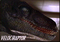 VELOCIRAPTOR!