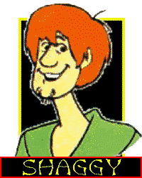 SHAGGY