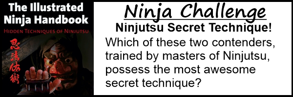 ninja-secret_technique.jpg