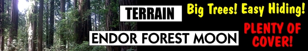 terrain_endor.jpg