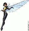 The Wasp