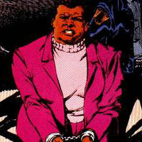 Amanda Waller