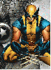 Wolverine
