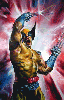 Wolverine