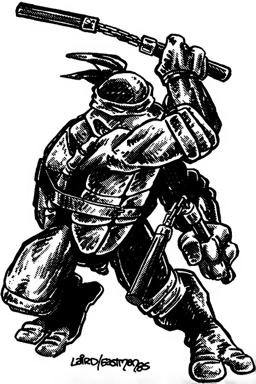 Michelangelo (Mirage)