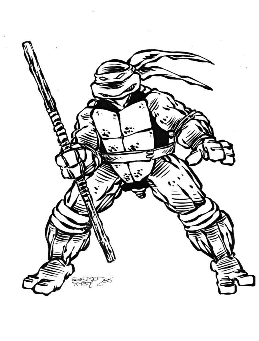 Donatello (Mirage)