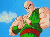 Tien Shinhan (Tenshinhan) 