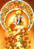 Sailor Venus