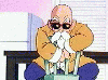 Master Roshi