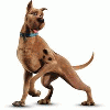 Scooby-Doo