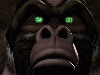 Optimus Primal