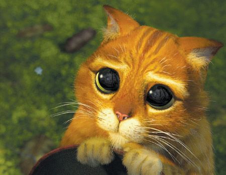 Puss in Boots (Shrek)