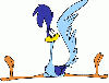 Road Runner