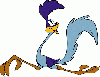 Road Runner