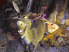 Donkey (Shrek)