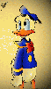 Donald Duck