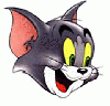 Tom Cat