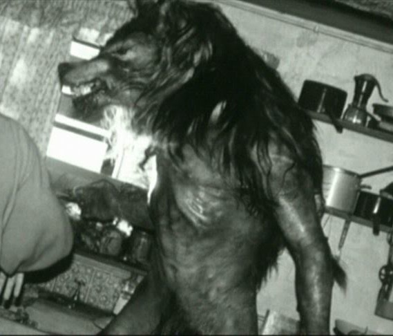 The Werewolf Family (Dog Soldiers)
