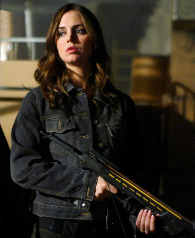 Faith the Vampire Slayer