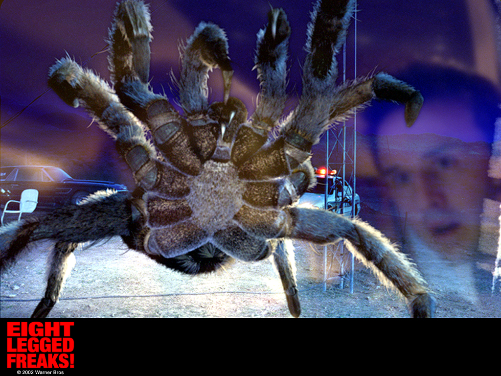 The Eight Legged Freaks