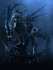 The Xenomorph Queen