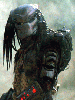 Jungle Hunter (Predator)