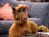 ALF aka Gordon Shumway