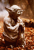 Master Yoda