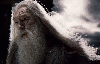 Albus Dumbledore