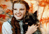 Dorothy