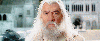 Gandalf