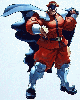 General M. Bison
