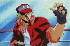 Terry Bogard