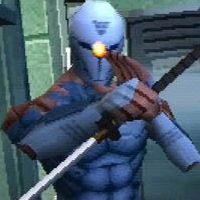 Gray Fox