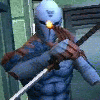 Gray Fox