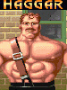 Mike Haggar
