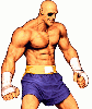 Sagat