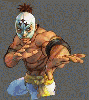 El Fuerte