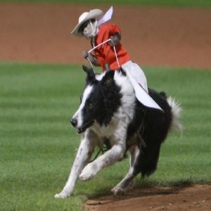 Whiplash the Cowboy Monkey