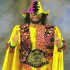 Macho Man Randy Savage