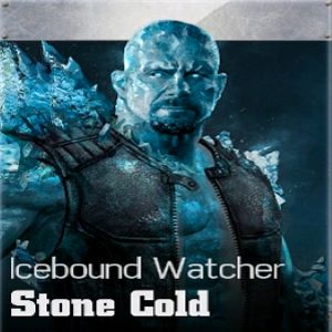 Stone Cold Steve Austin