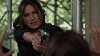 Olivia Benson