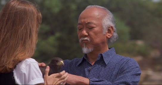 Kesuke Miyagi
