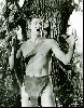 Tarzan