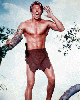 Tarzan