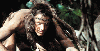 Tarzan