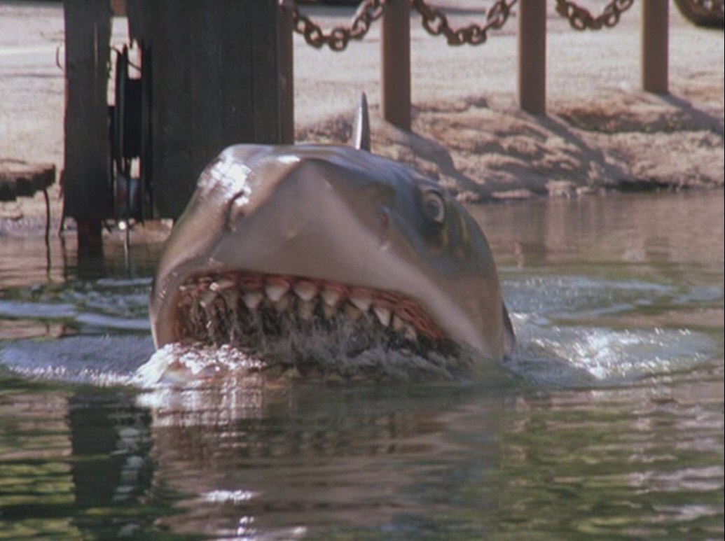 Jaws