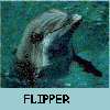 Flipper